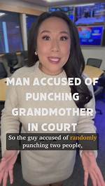 French Man Accused of Punching Japanese