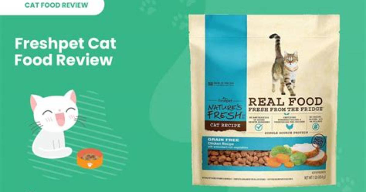 Freshpet Cat Food Review 2024: Recalls, Pros & Cons