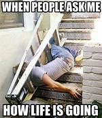 Funny Memes About Life - Tuko. Co. Ke