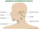 Ganglions
