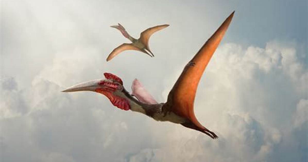 Giant "Iron Dragon" Flying Reptile Discovered in Australia Had Gigantic Jaws and Razor-Sharp Fangs