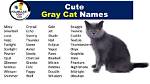 Gray Cat Names | Nameberry