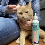 Great Pet Ear Cleaner Review 2024: Our Expert’s Opinion