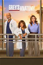 Grey's Anatomy Season 11 Episode 4 Recap: Mommy Issues