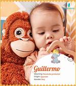 Guillermo Meaning in English, Guillermo Baby Name Origin Gender Meaning Pronunciation