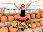 Halloween Town Pumpkin Patch Just Landed in Mesa