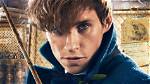 Harry Potter: Eddie Redmayne Was Meant to Play This Legendary Role but Got Turned Down