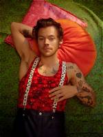 Harry Styles Hot Photos on 'Don't Worry Darling' Press Tour