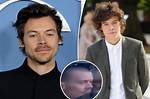 Harry Styles Shows off Shaved Head in Promo Shot as Fans Divided over Star's New Look