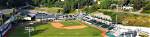 ⚾ Hawaiian Night: Pulaski River Turtles @ Calfee Park