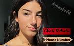 Heidi D’amelio Phone Number Whatsapp Number Contact Mobile