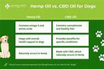 Hemp Oil vs Cbd Oil for Dogs: the Key Differences