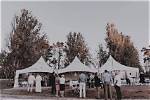 Hire Bts for a Corporate Event or Performance Booking.