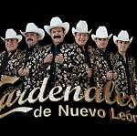 Hire Cardenales De Nuevo Leon for a Corporate Event or Performance Booking.
