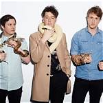 Hire the Wombats for a Corporate Event or Performance Booking.