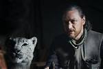 His Dark Materials | Potential Spin-Offs and Sequels After Season 3