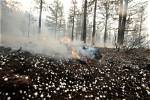 Hog Fire Near Susanville Fully Contained |