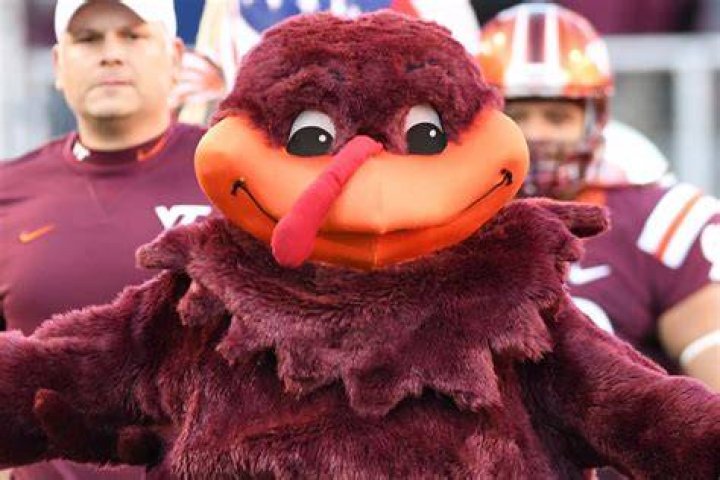 Hokie Bird Mascot: The Iconic Spirit of Virginia Tech