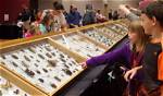 Hokie Bugfest Welcomes Bug Lovers for the 13Th Year!