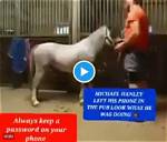 [Hot] Michael Hanley Horse Video Twitter, Reddit Disturbing Goes Viral