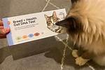 How Accurate Are Cat Dna Tests? What You Need to Know!