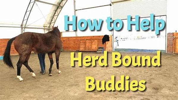 How Can I Help My Herd Bound Horse?