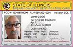 How Do I Update My Foid Card in Illinois