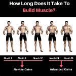How Long Does It Take Muscles to Recover?