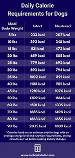 How Many Calories Does My Dog Need? (Calorie Calculator)