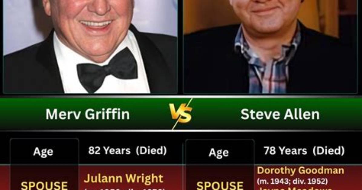 How Merv Adelson Shaped American Television?
