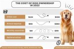 How Much Does a Dog Cost? 2024 Price Guide