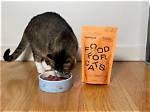 How Much Does Smalls Cat Food Cost? (2024 Update)