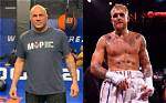 How Much Money Does Randy Couture Make? Latest Income Salary