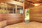 How Much Space Does a Horse Need? Equine Facts & Faqs (2024 Guide)