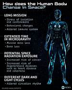 How the Human Body Will Change in the Far Future