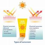 How These Ingredients Make Your Sunscreen Work