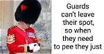 How They Relieve Themselves on Duty and 7 More Facts the Queen’s Guards Shared About Their Job