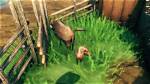 How to Breed Boars to Get Piglets?