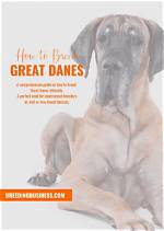 How to Breed Great Danes: Breeding Practices, Litter Size & Tips