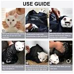 How to Calm Your Cat Before and at the Vet: 8 Proven Ways