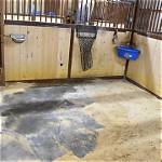 How to Clean Stall Mats?