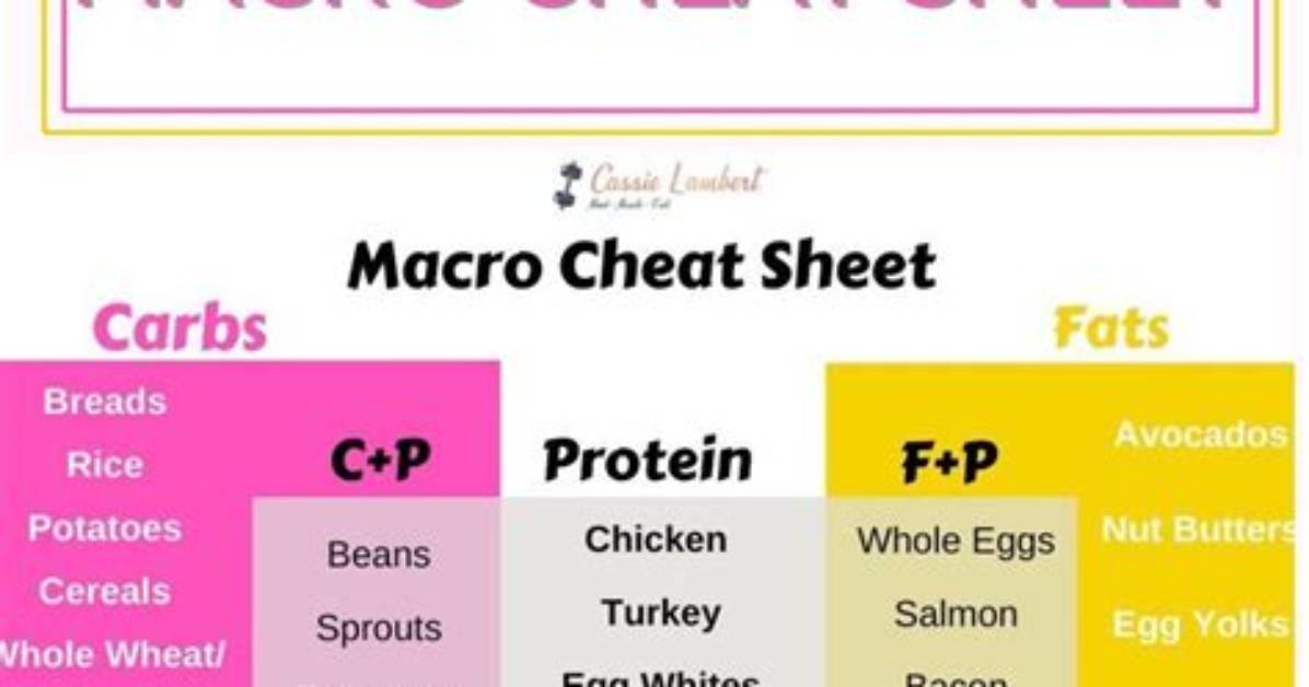 How to Count Macros: Easy Guide for Beginners