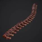 How to Craft a Bloody Spine in Terraria