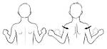 How to Do the Scapular Retraction Exercise