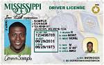 How to Get a New Driver's License If Lost Michigan