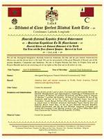 How to Get Allodial Title Near New York Ny