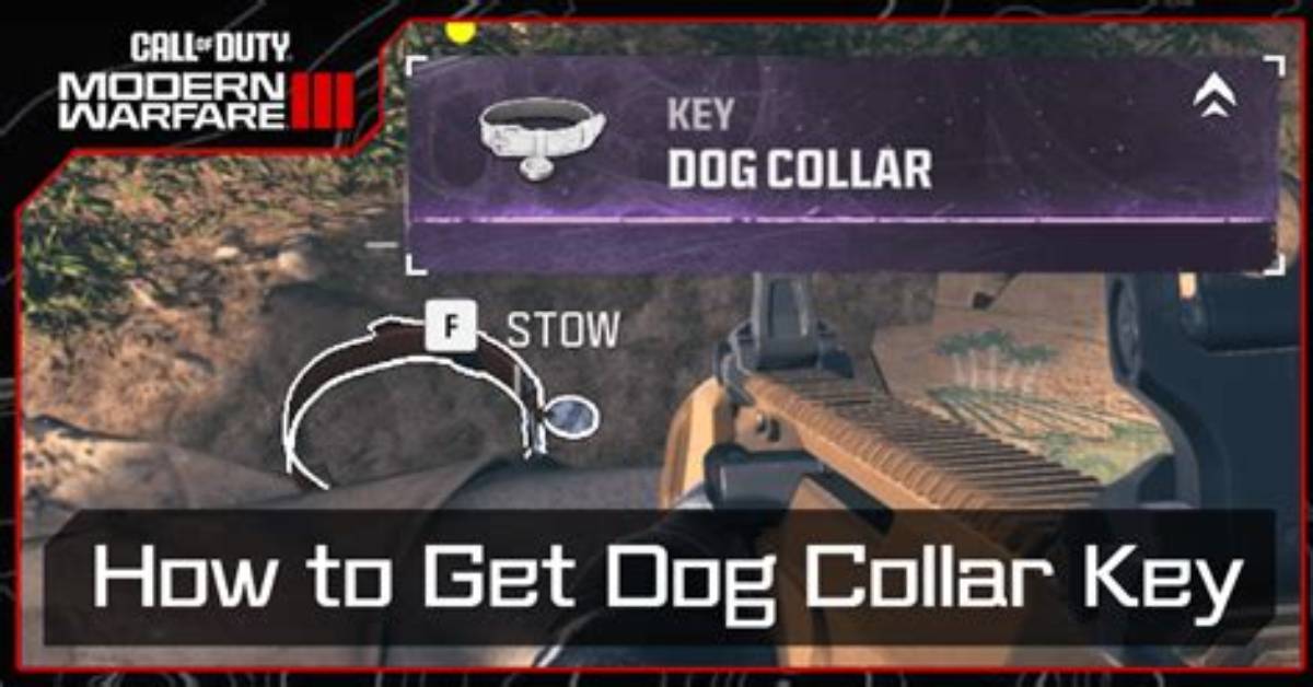 How to Get Dog Collar in Mw3 Zombies