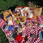 How to Host a Summer Picnic with Your Besties