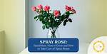 How to Take Care of Roses in Vases