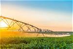 How Using Groundwater Sustainably Would Affect Key Crops